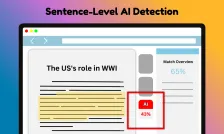 Features - 句级AI检测 - Dechecker